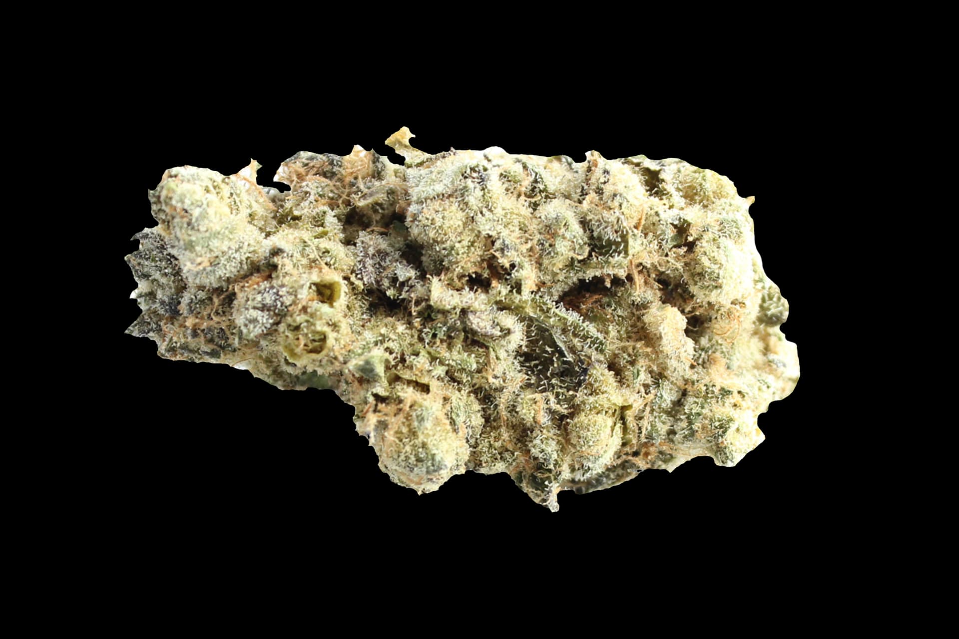 aleph red 27/1: Hokuzai