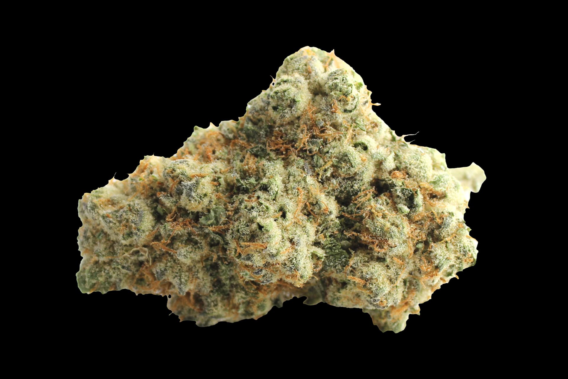 Demecan CRAFT Luna 31:01: Peechy Keen