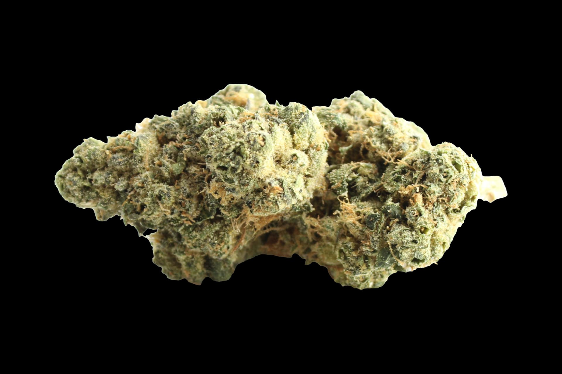 Pedanios 31/1 PND-CA: Pink Diesel