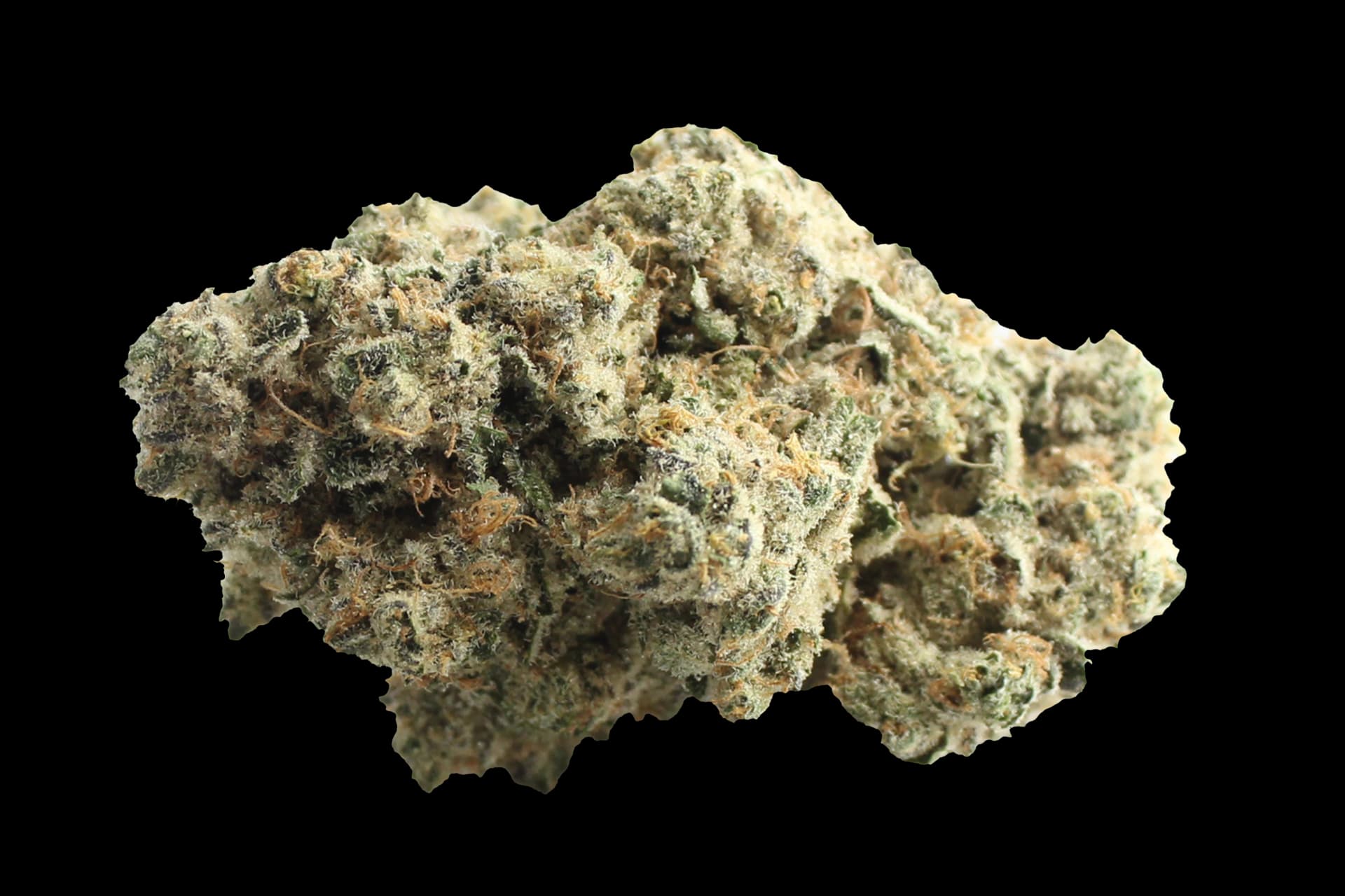 Demecan CRAFT Walkie Talkie 31:01: Sugar Cake