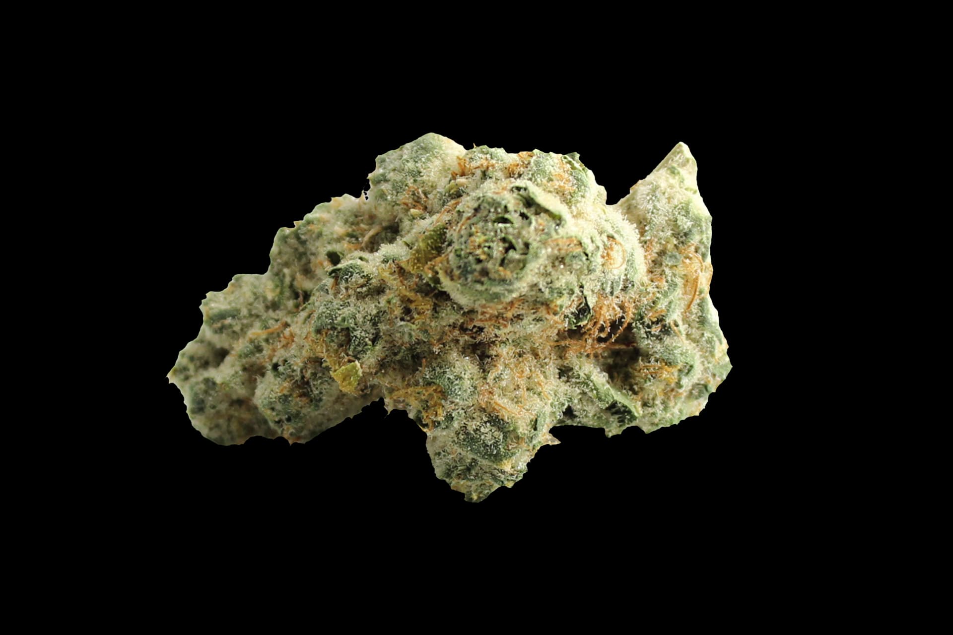 420 Evolution 33/1 CA PCH: Peach Chementine