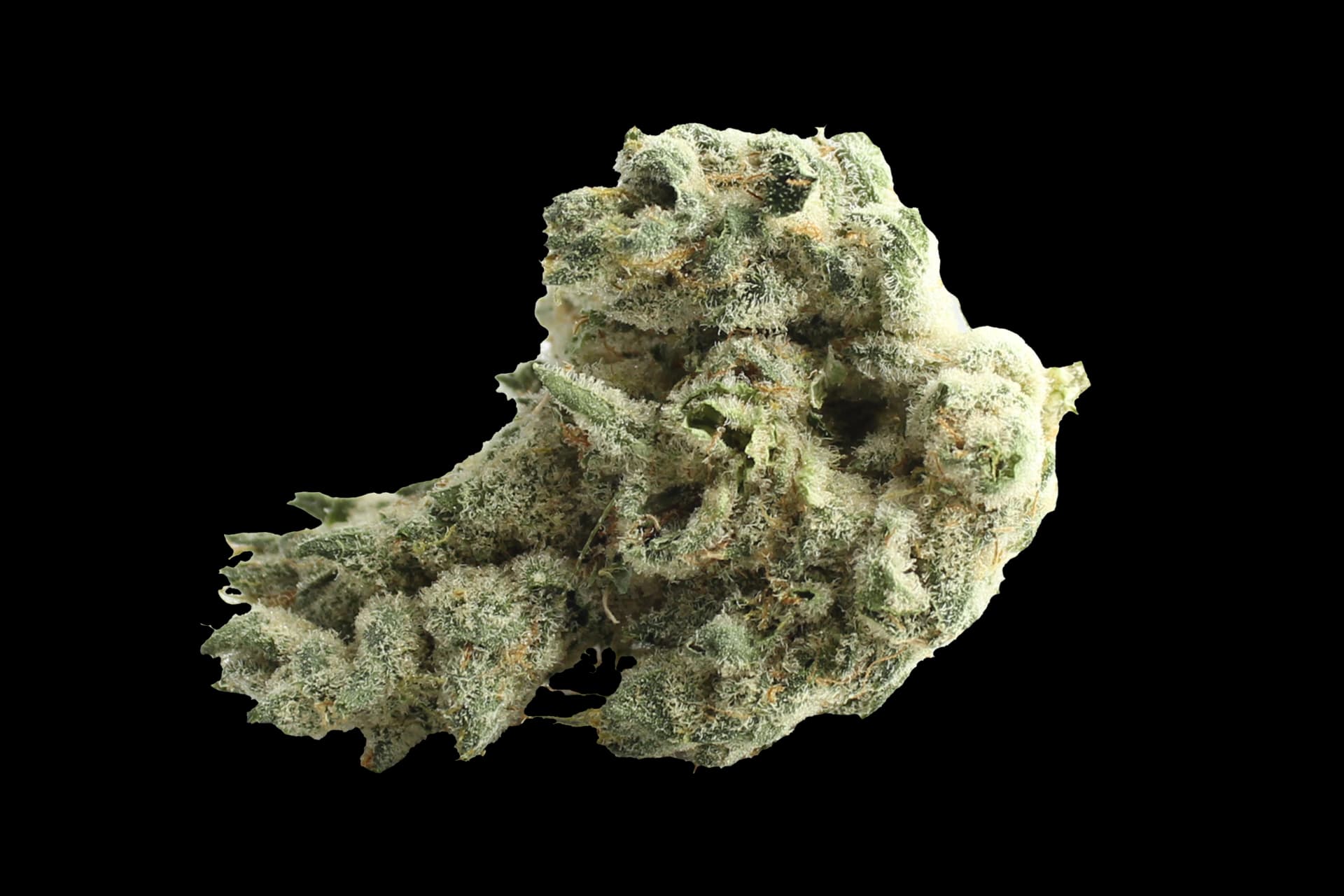 420 Evolution 30/1 CA PCH: Peach Chementine