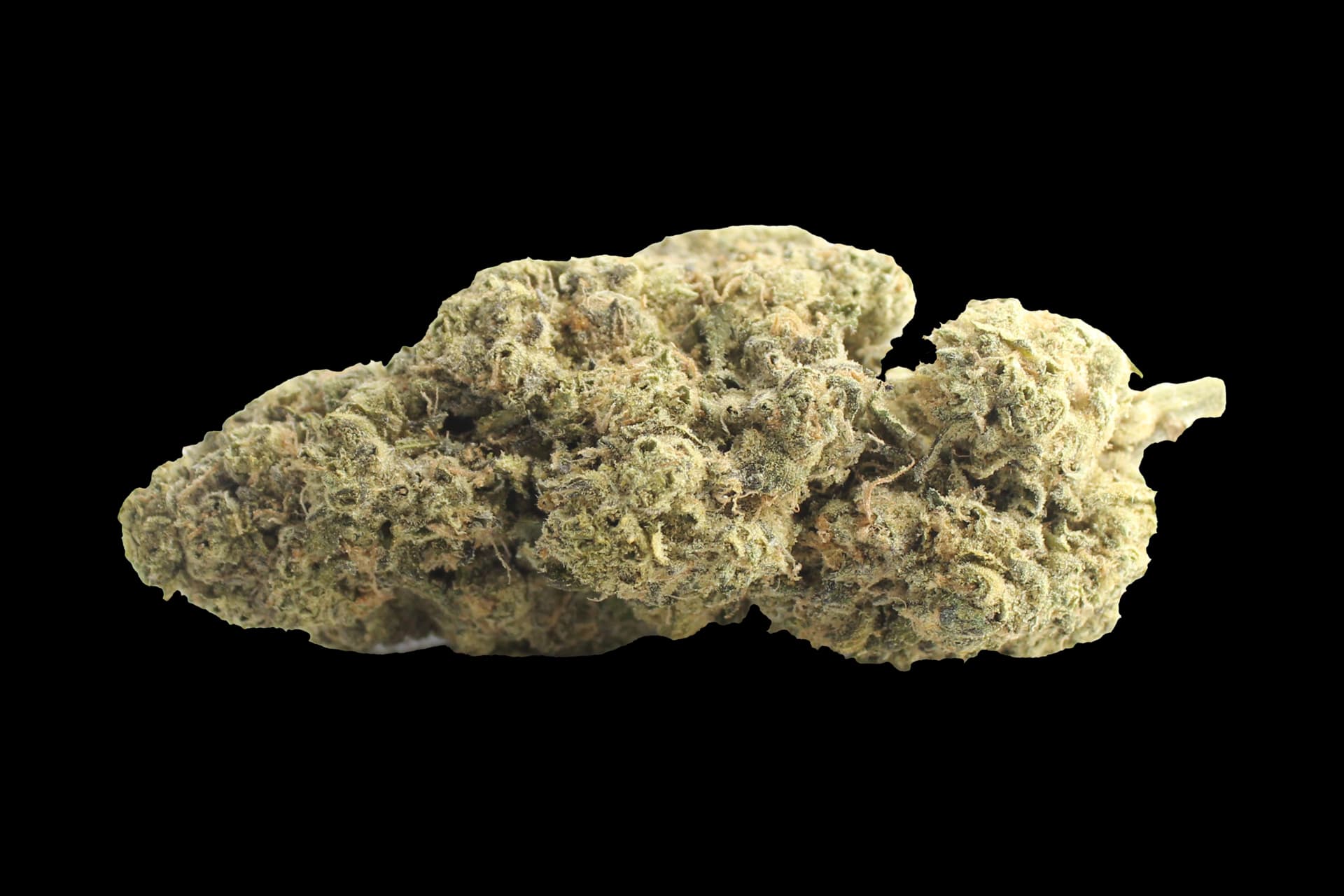 Remexian 27/1 GJY LPP: Lemon Pepper Punch