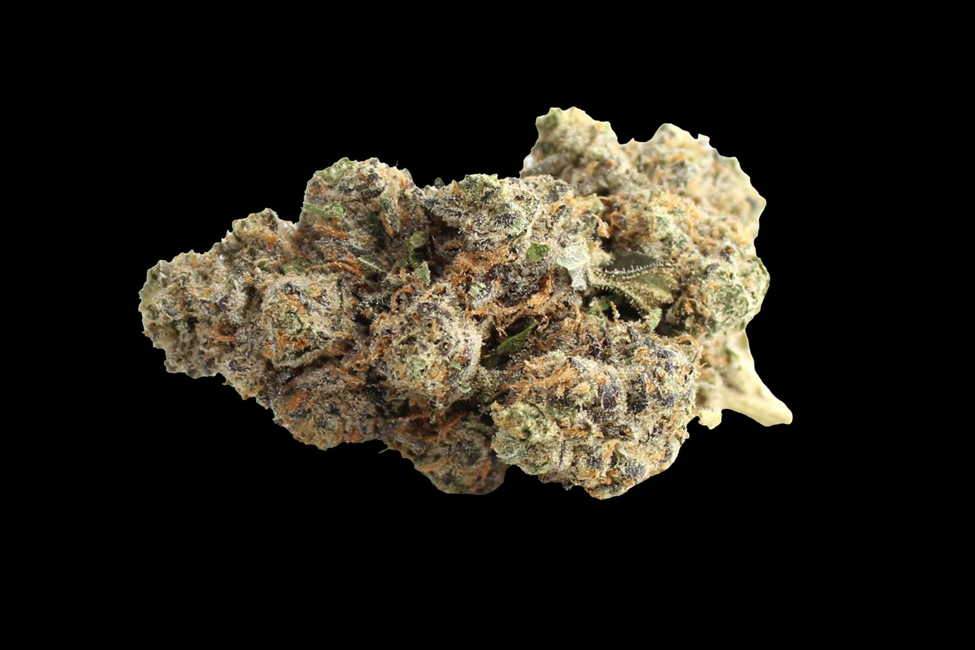 Pedanios 27/1 FRG-CA: Farm Gas