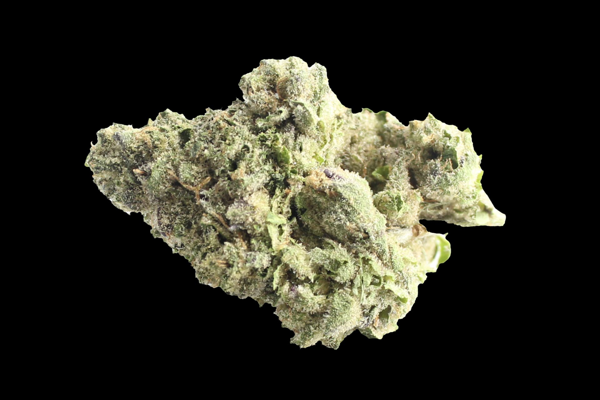 Demecan CRAFT Cali 29:01: Hawaiian Rain X Permanent Marker