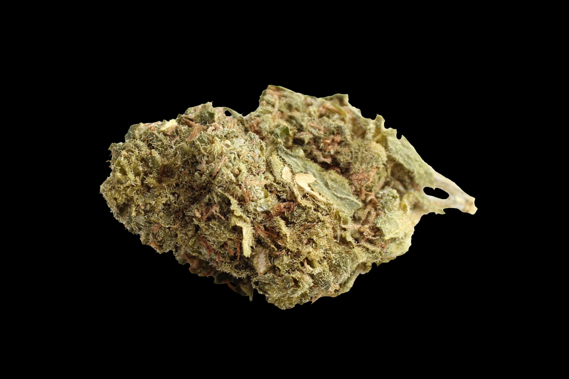 420 Sungrown 20/1 CA ZRP: Zour Apple