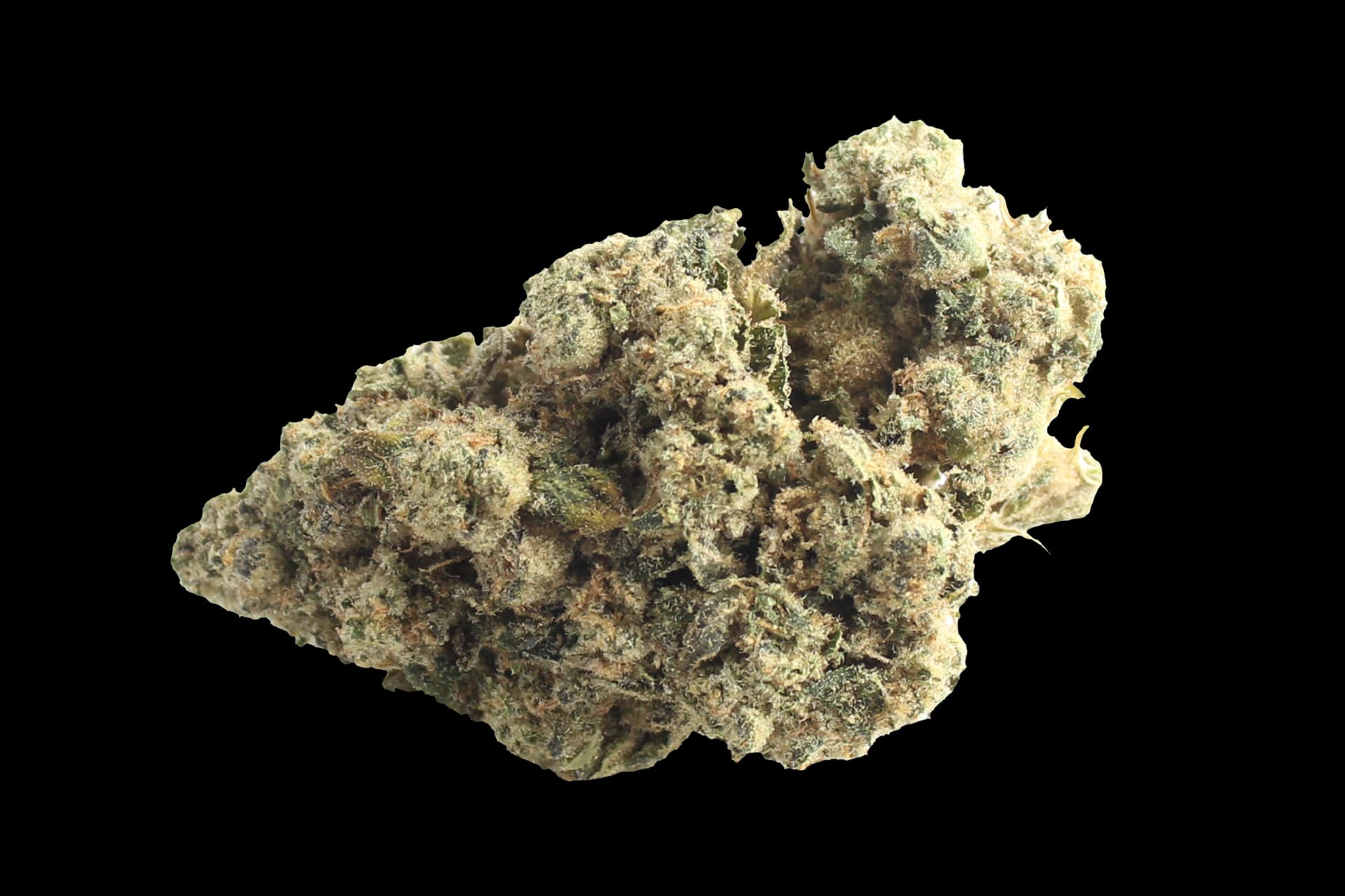 Pedanios 29/1 SRD-CA: Sourdough